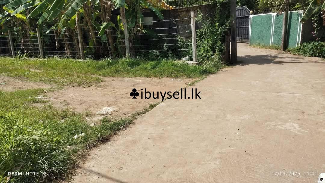 Land sale – Kalaniya