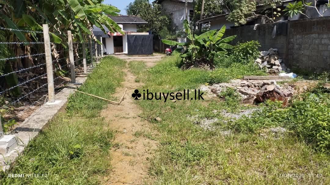 Land sale – Kalaniya