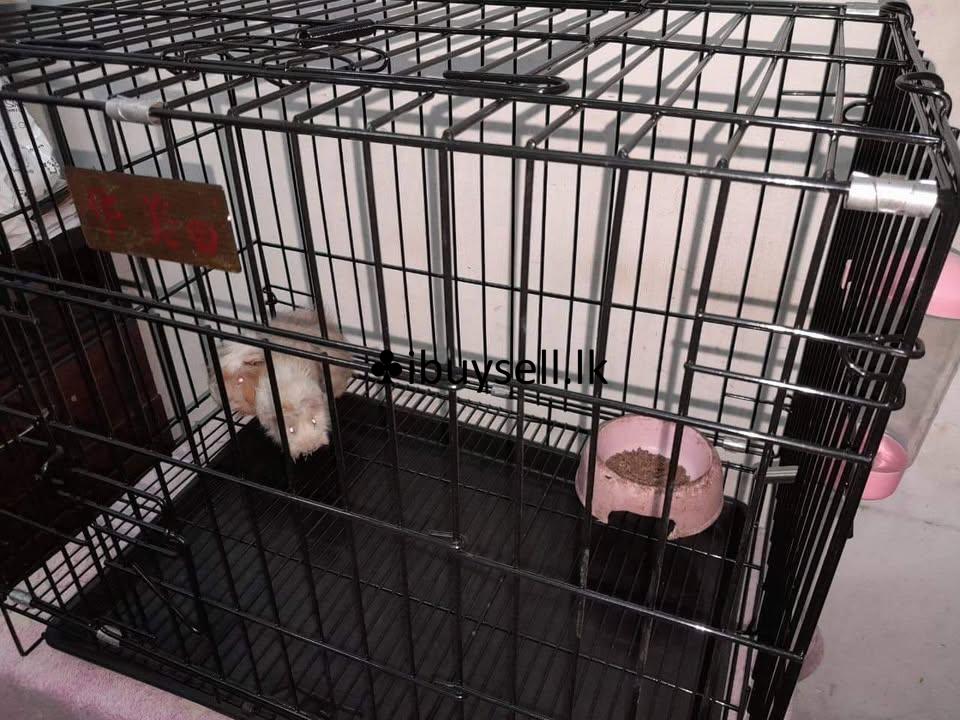 Imported  portable cage  For Sale!