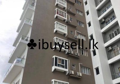 480704825_10162797567699188_7120441954890656216_n