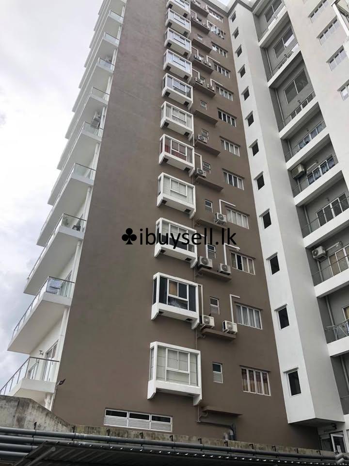 Brand new Apartment – Rajasinghagama