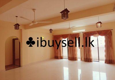 480791454_9906560512706155_6301434878621491513_n