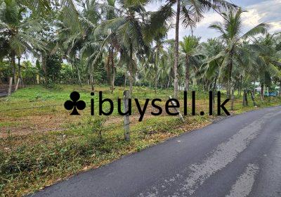 480820078_9383256271739971_5308829264656807358_n