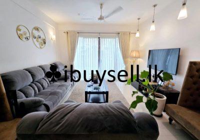 480879559_4008974182714036_2977918129670049738_n