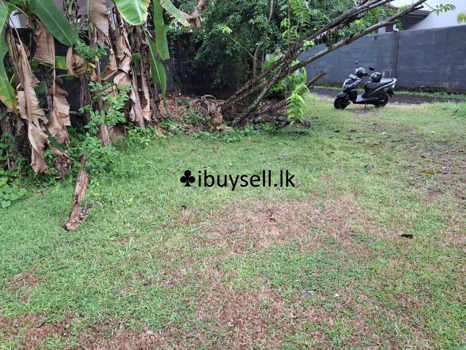 Land Sale – Raththanapitiya