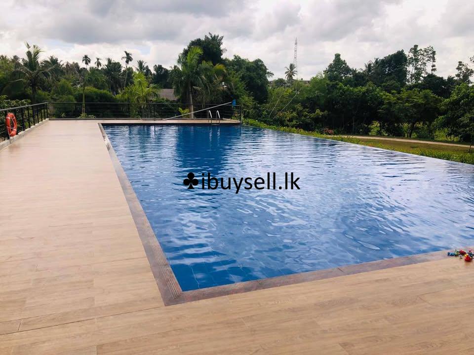 Brand new Apartment – Rajasinghagama