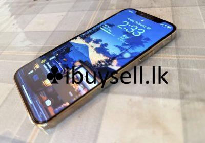 481054988_1176351010776223_3873628441907111008_n