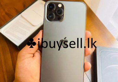 481055810_122190106784097266_6765095761776526250_n