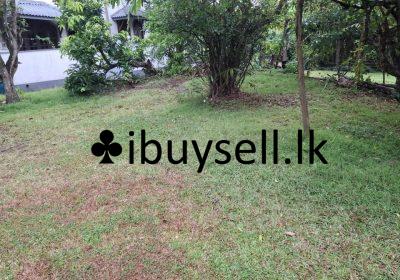 481068579_3232118286951242_1257157138908110069_n