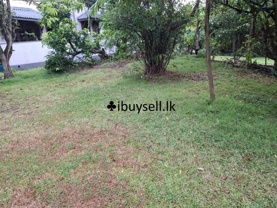 Land Sale – Raththanapitiya