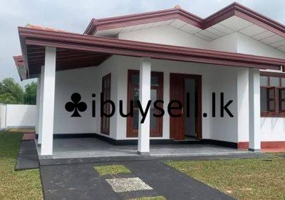 481079770_122233553096017124_6897986303090819973_n