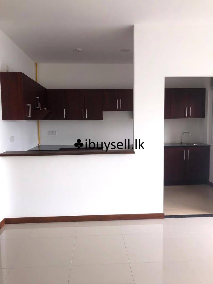 Brand new Apartment – Rajasinghagama