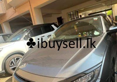 481187843_988651163469964_9086700148325706193_n