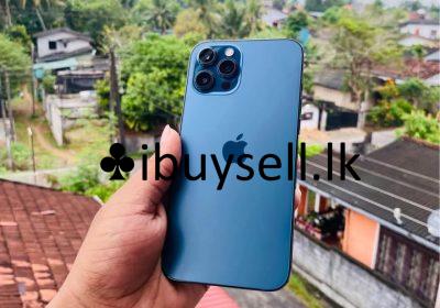 481300131_122139912806489955_8027165426607802908_n