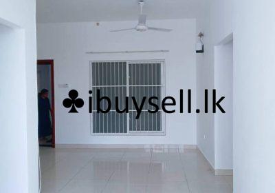 481661135_3138497356326555_580226608940496722_n