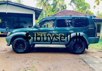 481779169_1151532909978311_5570840645454232527_n