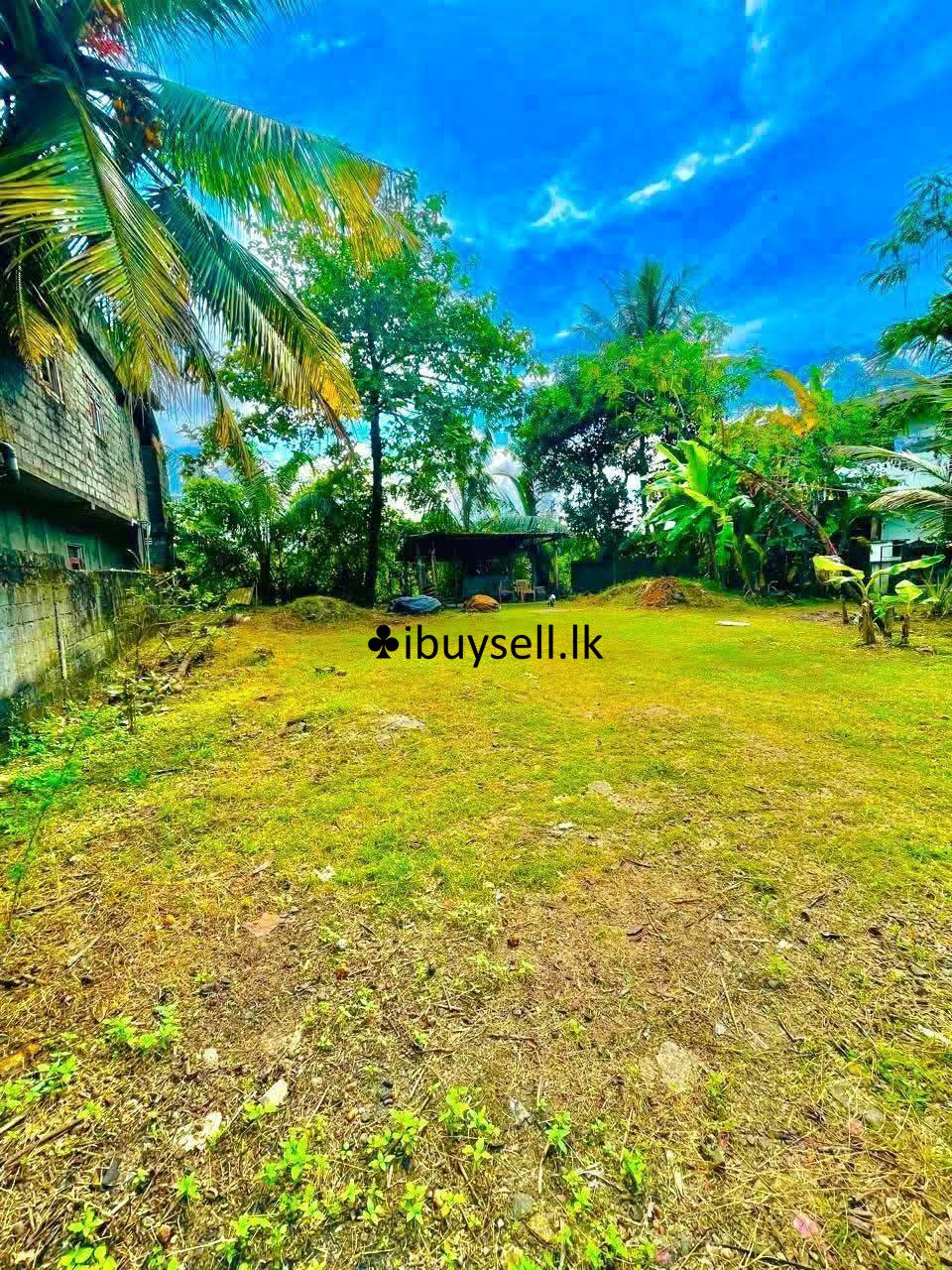 මාලබේන් ඉඩමක්..