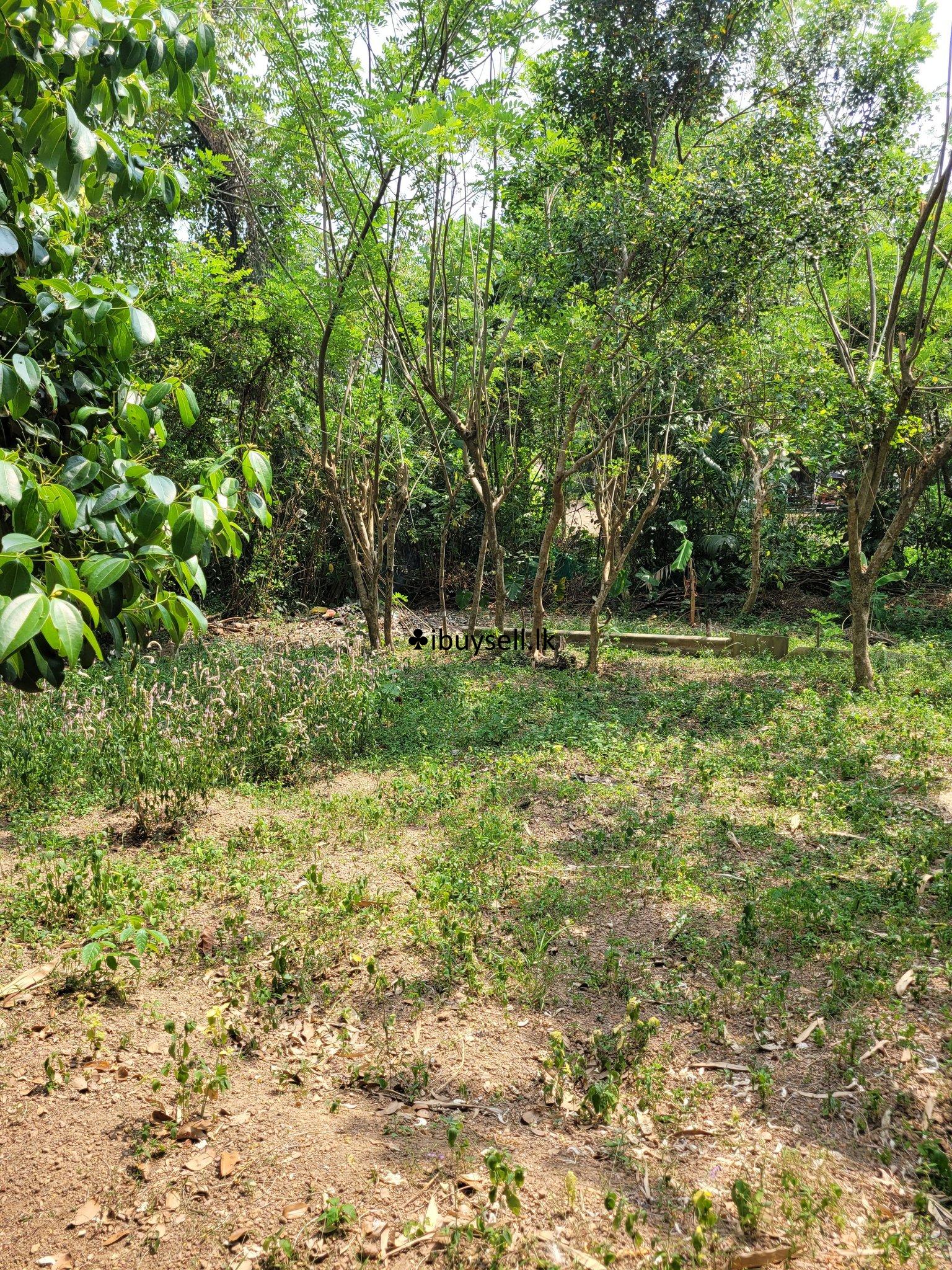 land sale – Kadawatha