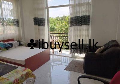 471472774_1817228739105957_6658594917705220436_n