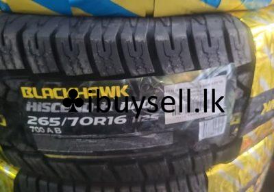 473089845_1153181483476578_1946227886952999673_n