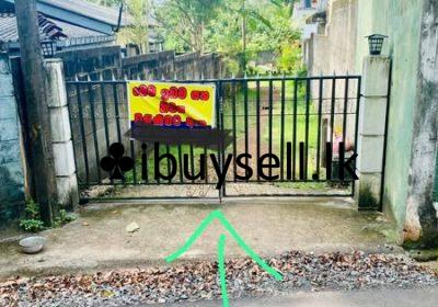 473271328_1372122654230567_2116605816343257250_n