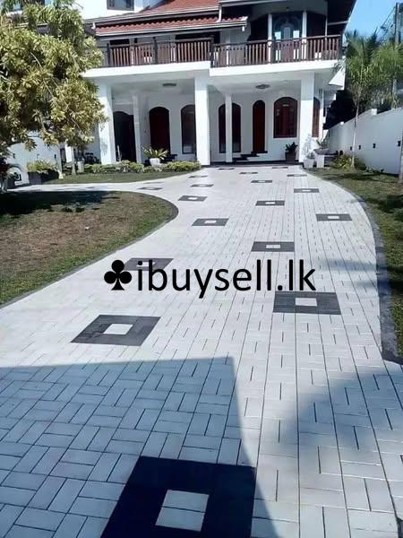 Inter lock Pawing and Malaysian Carpet Grass