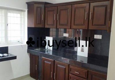 474957774_9020454908004130_5697889271349865188_n