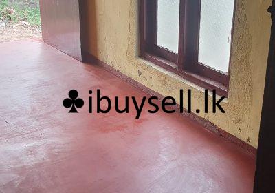 476390775_122150016680382744_7800800999127609275_n