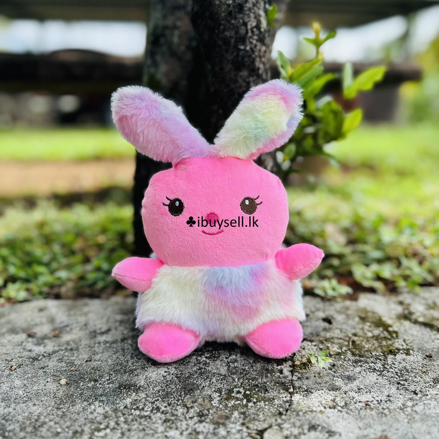 Little bunny  teddy for sale – Colombo