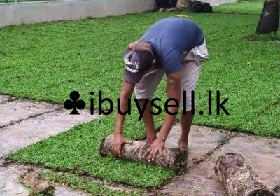 477490260_1184416010357064_8341706359094568992_n-1