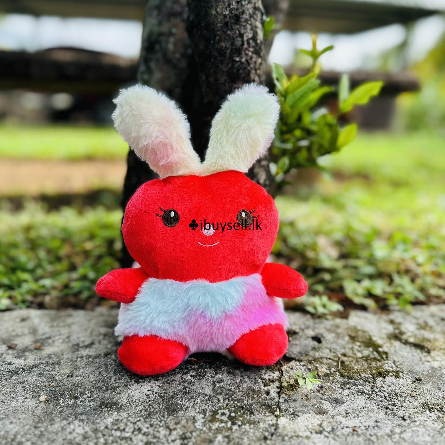 Little bunny  teddy for sale – Colombo