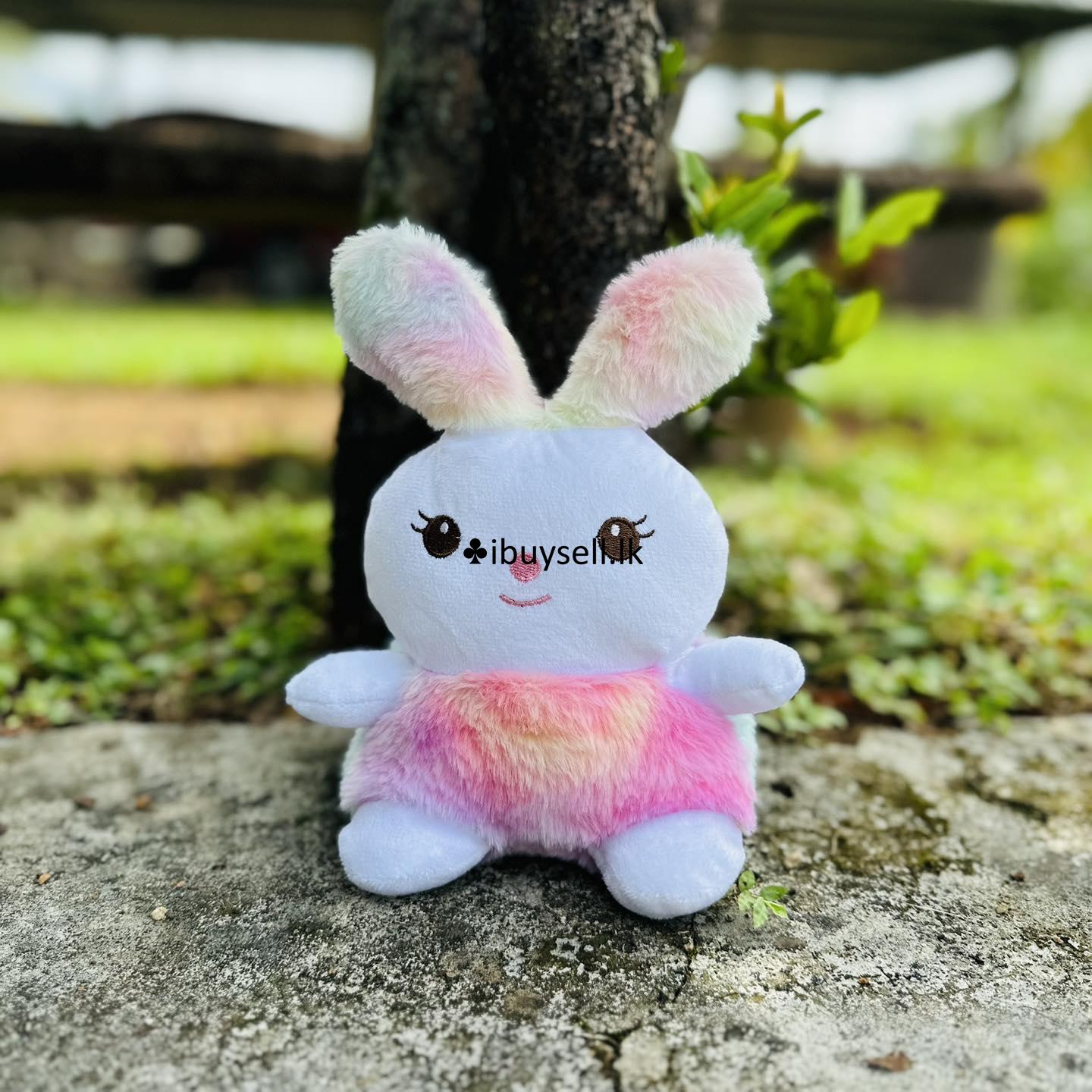 Little bunny  teddy for sale – Colombo