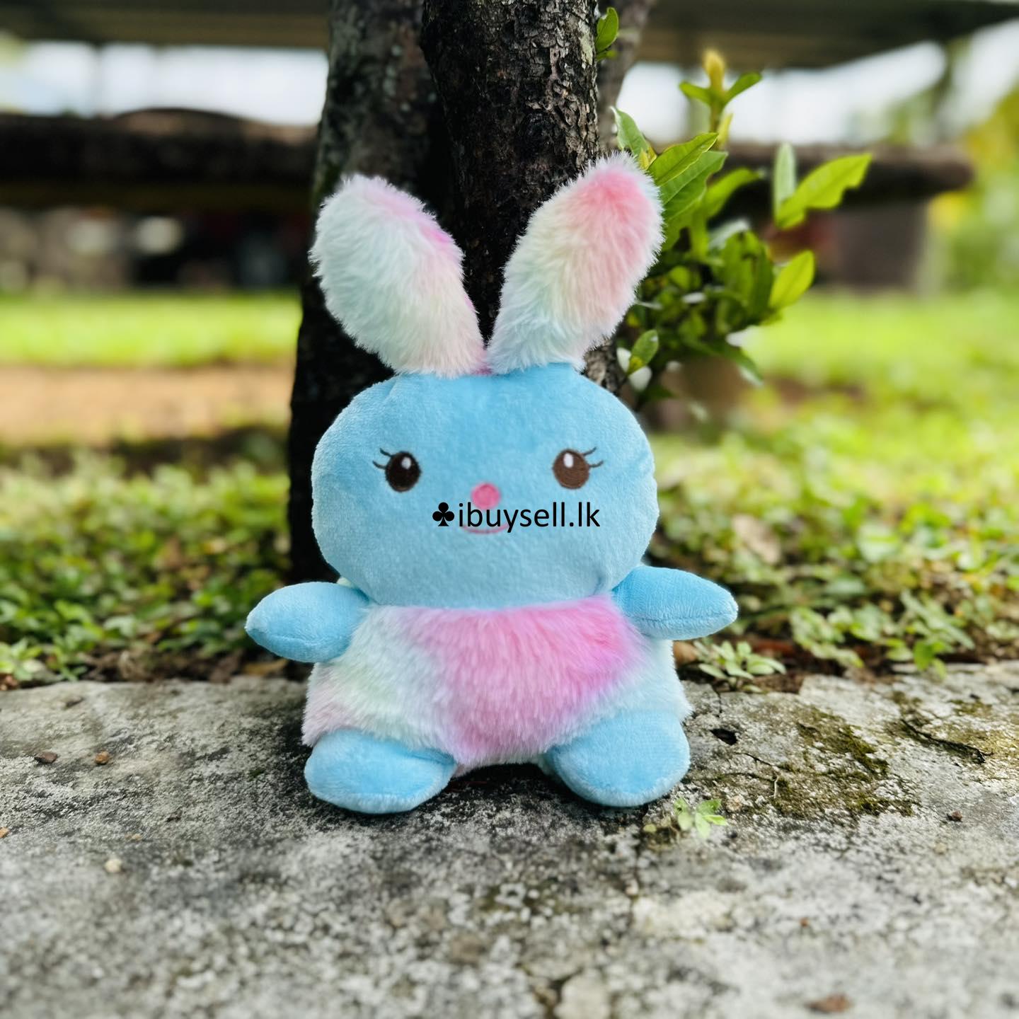 Little bunny  teddy for sale – Colombo
