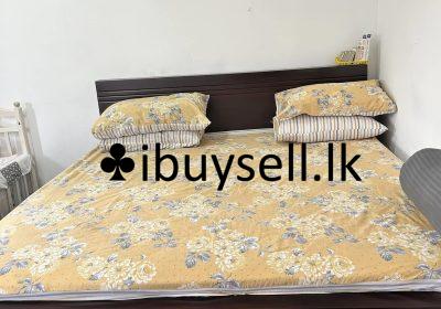 480209038_3890256467915339_7124466475734621177_n