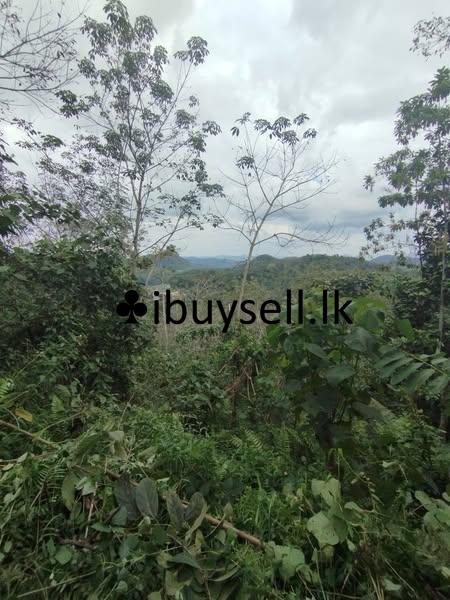Land for sale in Avissawella