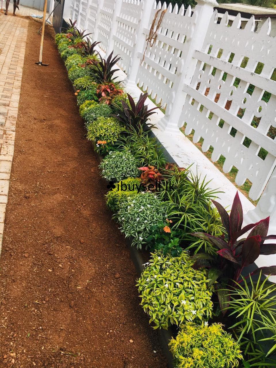 landscaping -kaduwela, Colombo
