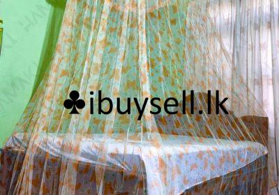 480546358_122188812404136625_2028380035210294062_n