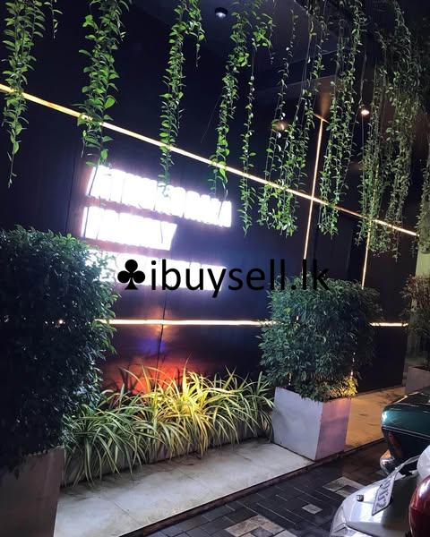 Plant Girl Landscaping Service