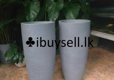 480633357_9210126819101806_6736543599141858413_n