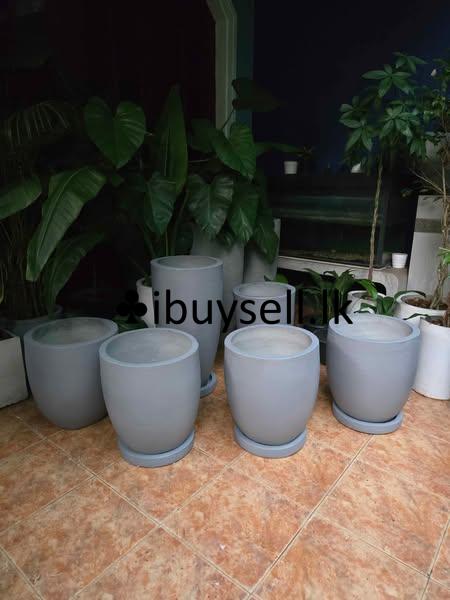 Painted or non painted titanium cement pots for sale