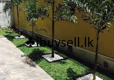 480743309_603244555941066_4347562574993870803_n