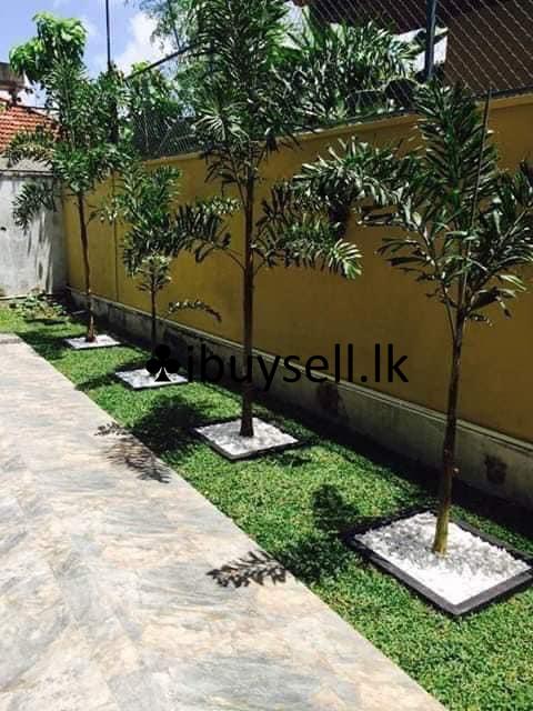 landscaping -kaduwela, Colombo