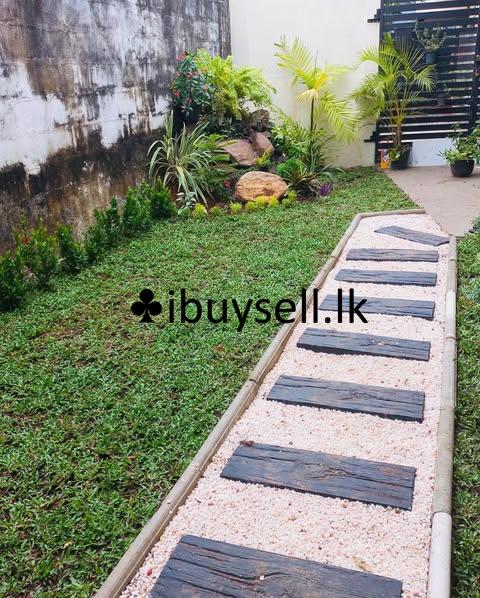 Plant Girl Landscaping Service