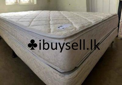 480754664_122193416324054839_3454498636790497273_n