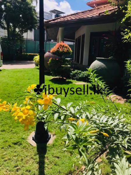 Plant Girl Landscaping Service