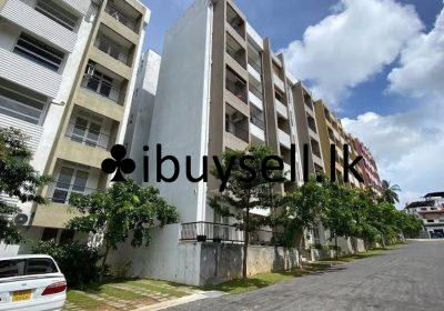 480793888_990248103030415_143157083647538412_n