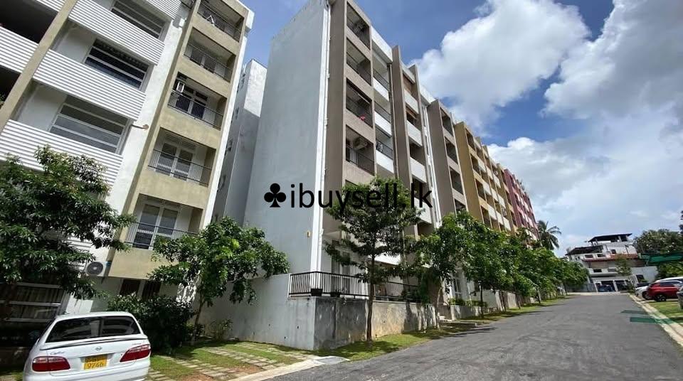 Fully furnished Apartment for rent in Malabe