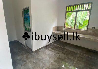 480809950_2072369776521898_3226277377908002023_n