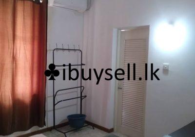 480836208_506810239155804_1347284529333298566_n