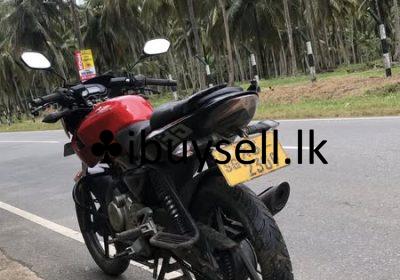 480939437_1236483454538523_521170554183781167_n